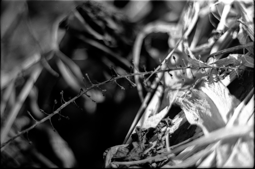 1-150101SP-retro80-029