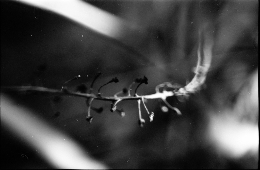 1-150101SP-retro80-030