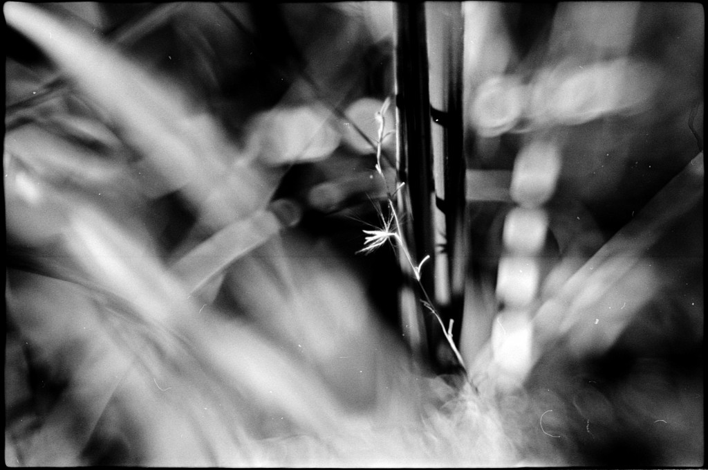 1-150101SP-retro80-034