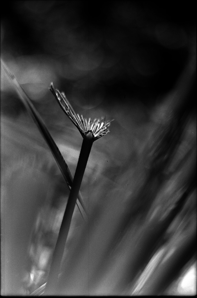 1-150101SP-retro80-037