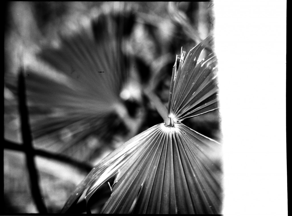 1-150101SP-retro80-038