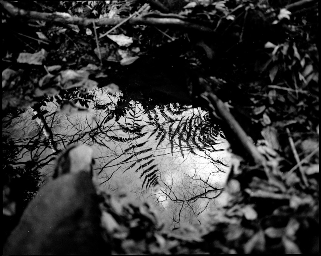 1-150102Mami-Foma1-001