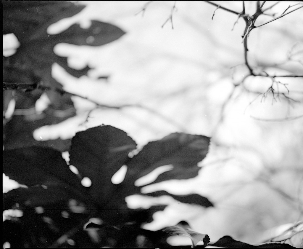 1-150102Mami-Foma1-006