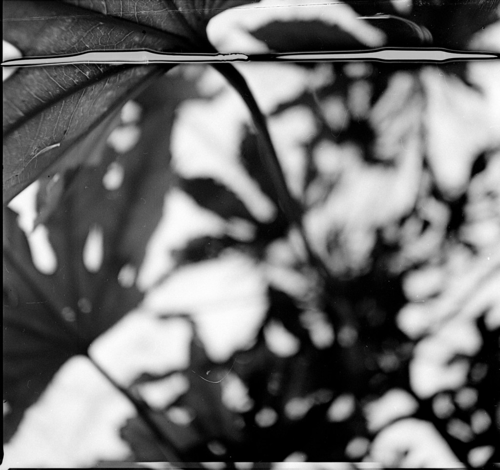 1-150102Mami-Foma1-009