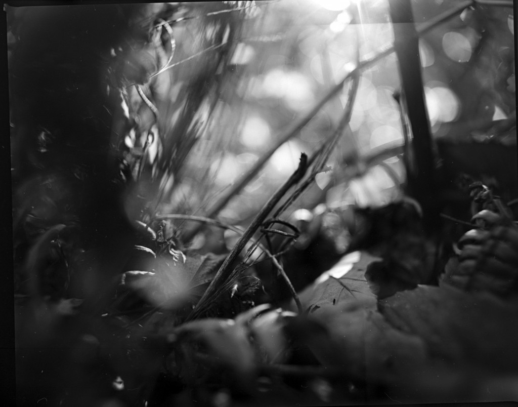 1-150102Mami-acros1-004