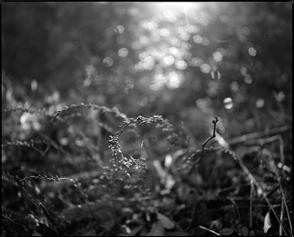 1-150102Mami-acros1-010