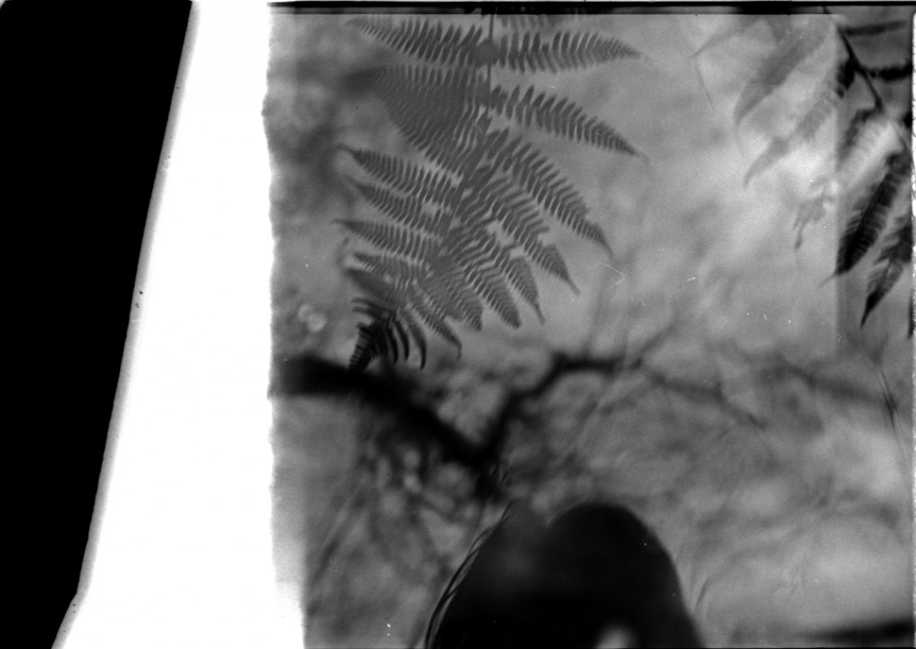 1-150104-Minolta-retro80-001