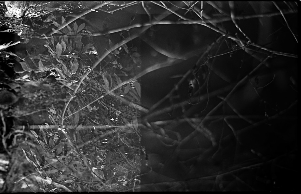 1-150104-Minolta-retro80-016