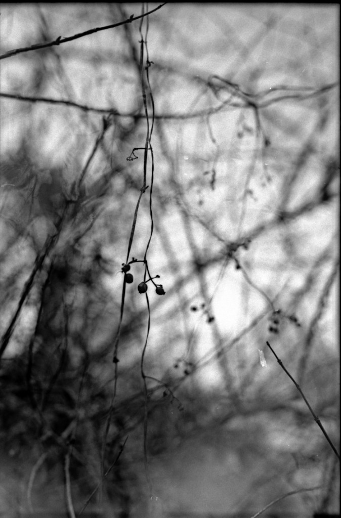 1-150104-Minolta-retro80-019