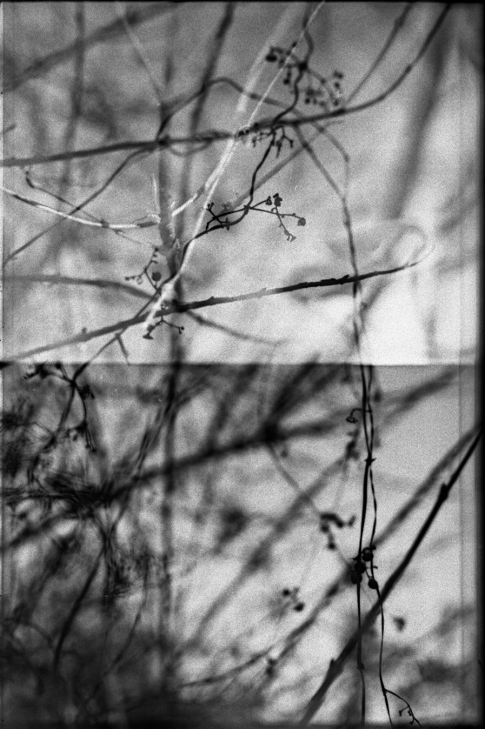 1-150104-Minolta-retro80-020