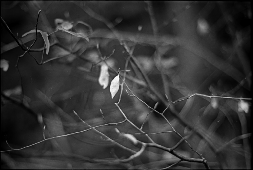 1-150104-Minolta-retro80-022