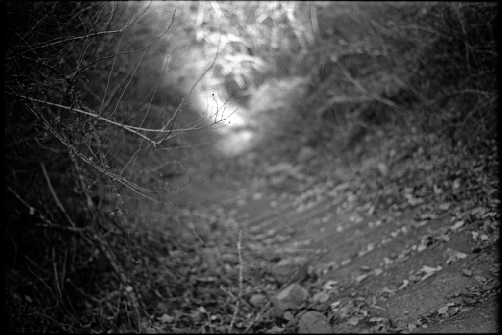 1-150104-Minolta-retro80-023