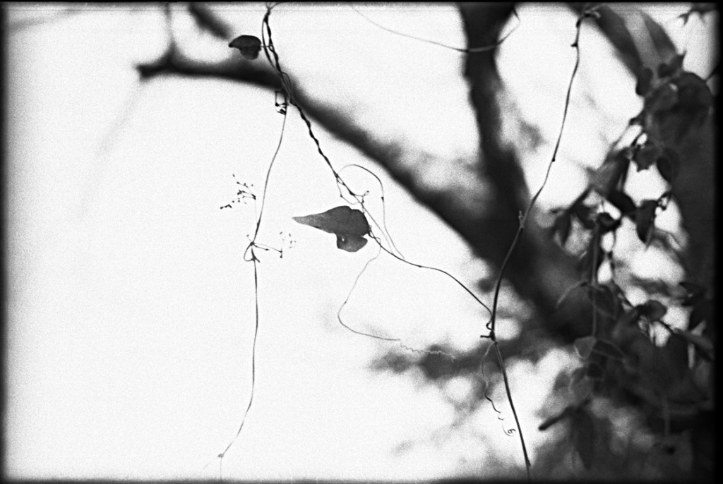 1-150104-Minolta-retro80-024