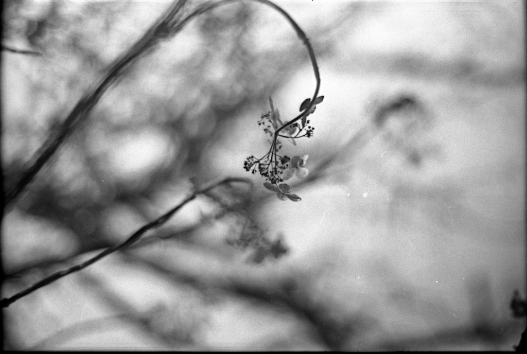 1-150104-Minolta-retro80-031