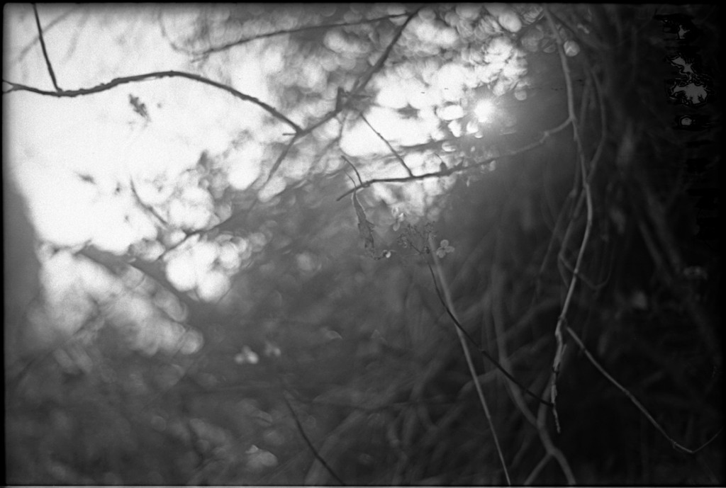 1-150104-Minolta-retro80-038