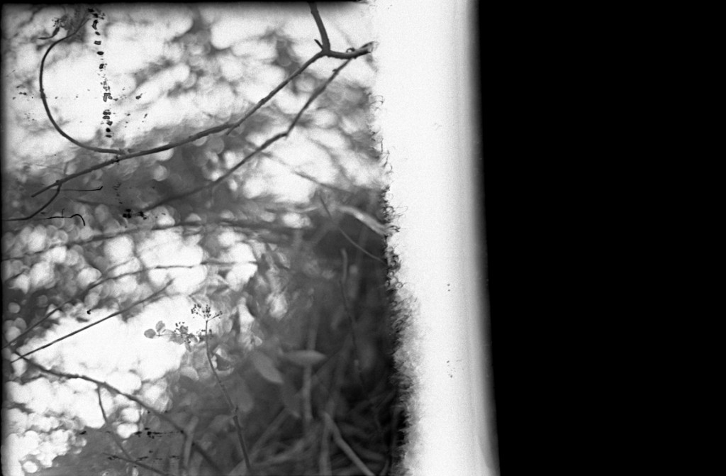 1-150104-Minolta-retro80-039