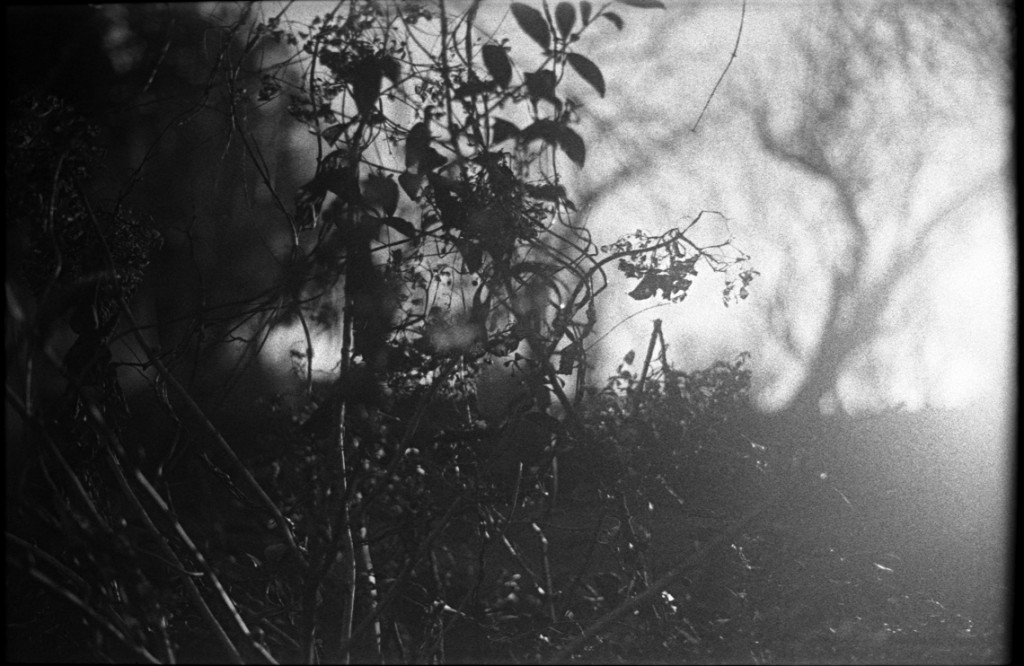 1-150111-Minolta-FP4+-009