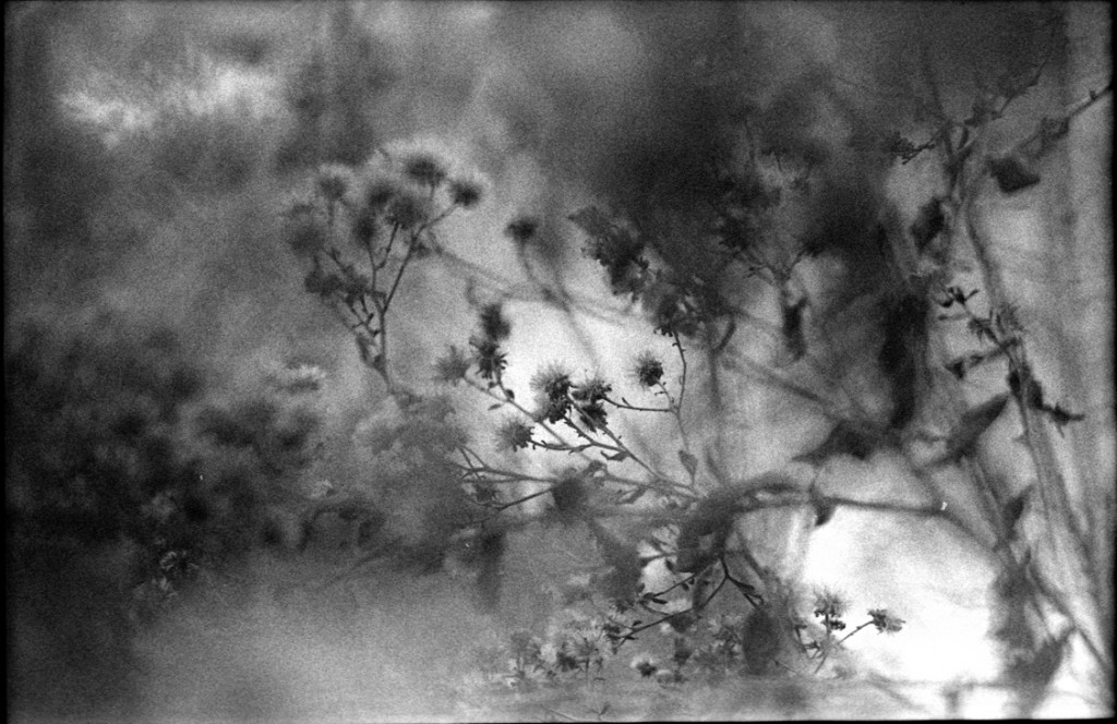 1-150111-Minolta-FP4+-022