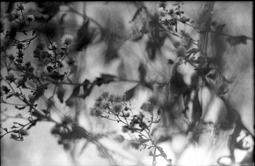 1-150111-Minolta-FP4+-023