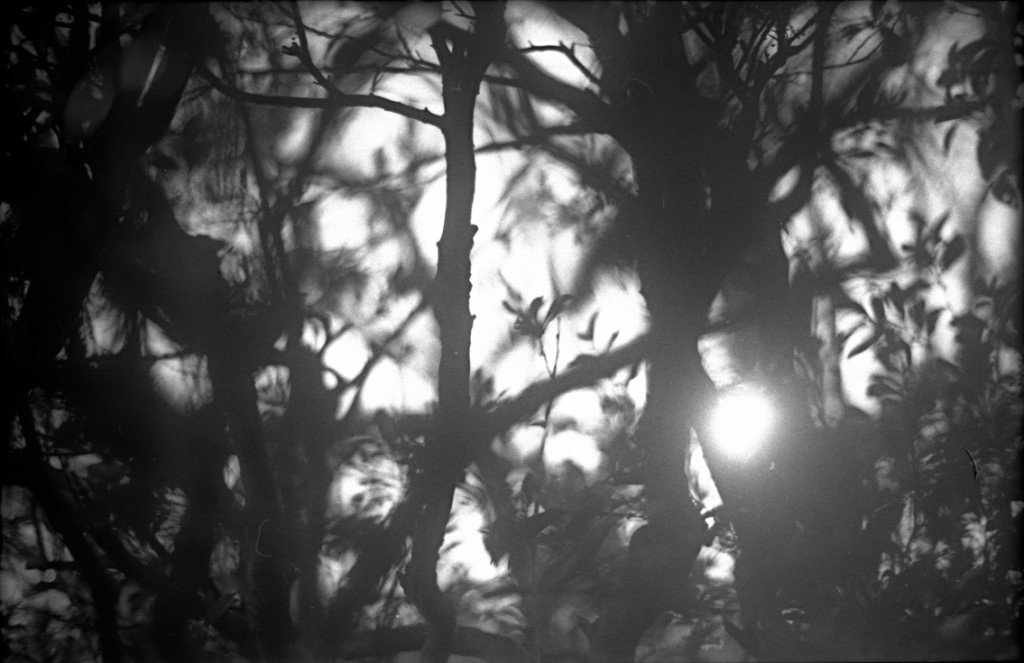 1-150111-Minolta-TMX1-002