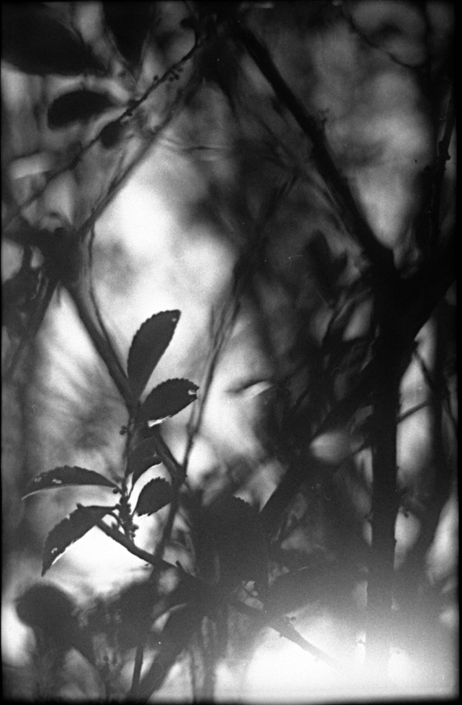 1-150111-Minolta-TMX1-003