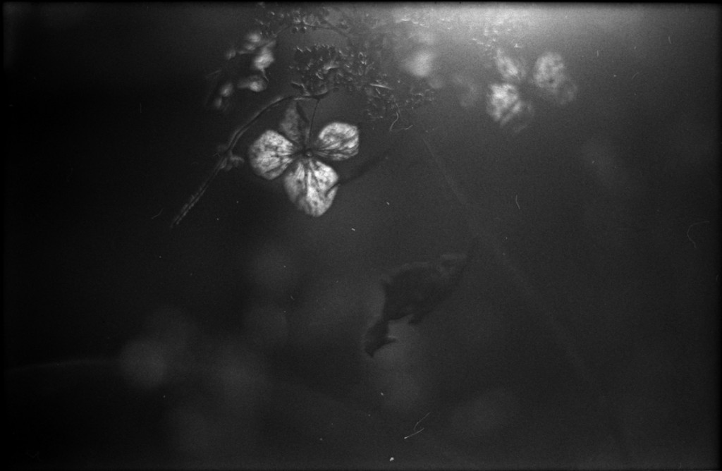 1-150111-Minolta-TMX1-006