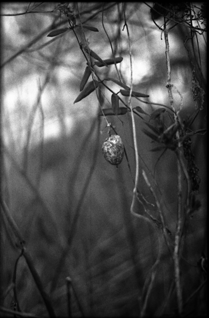 1-150111-Minolta-TMX1-026