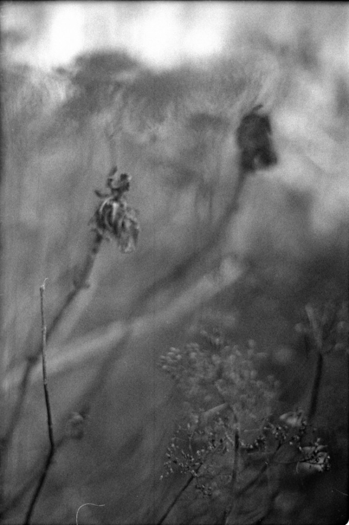 1-150111-Minolta-TMX1-027