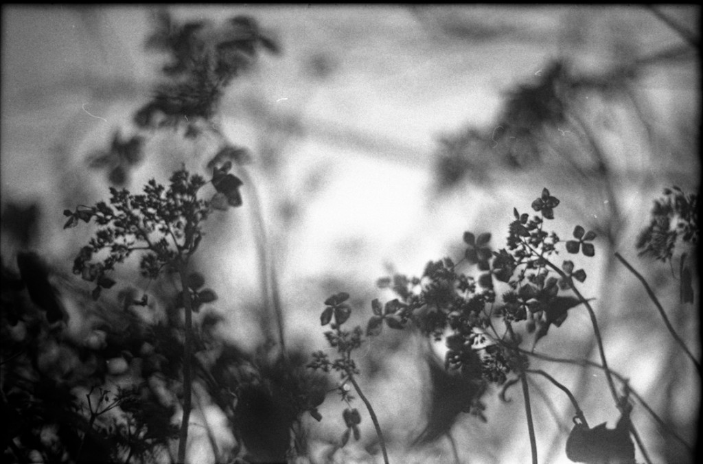 1-150111-Minolta-TMX1-032