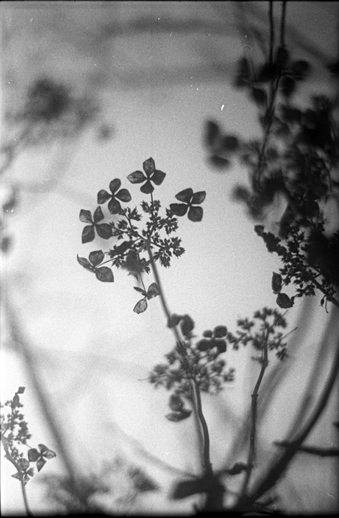 1-150111-Minolta-TMX1-034