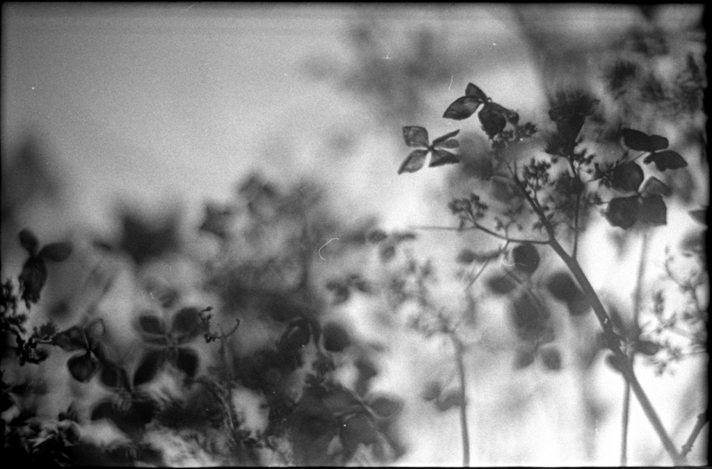 1-150111-Minolta-TMX1-035