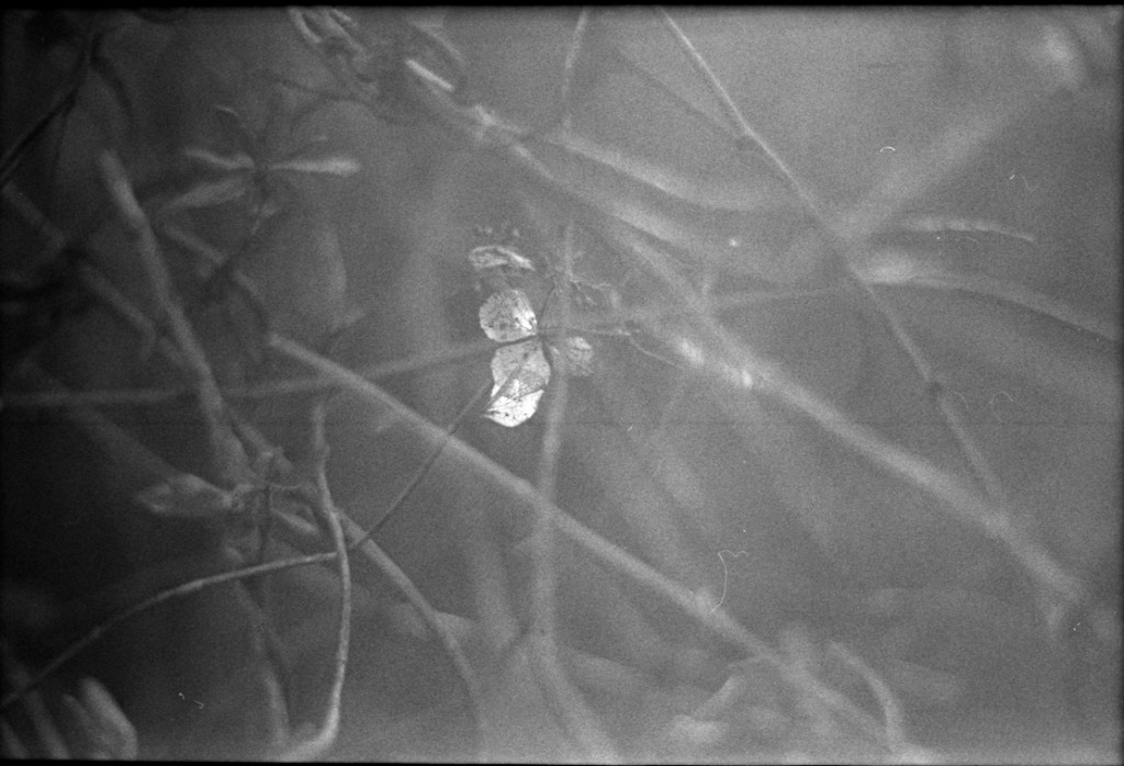 1-150111-Minolta-TMX1-039