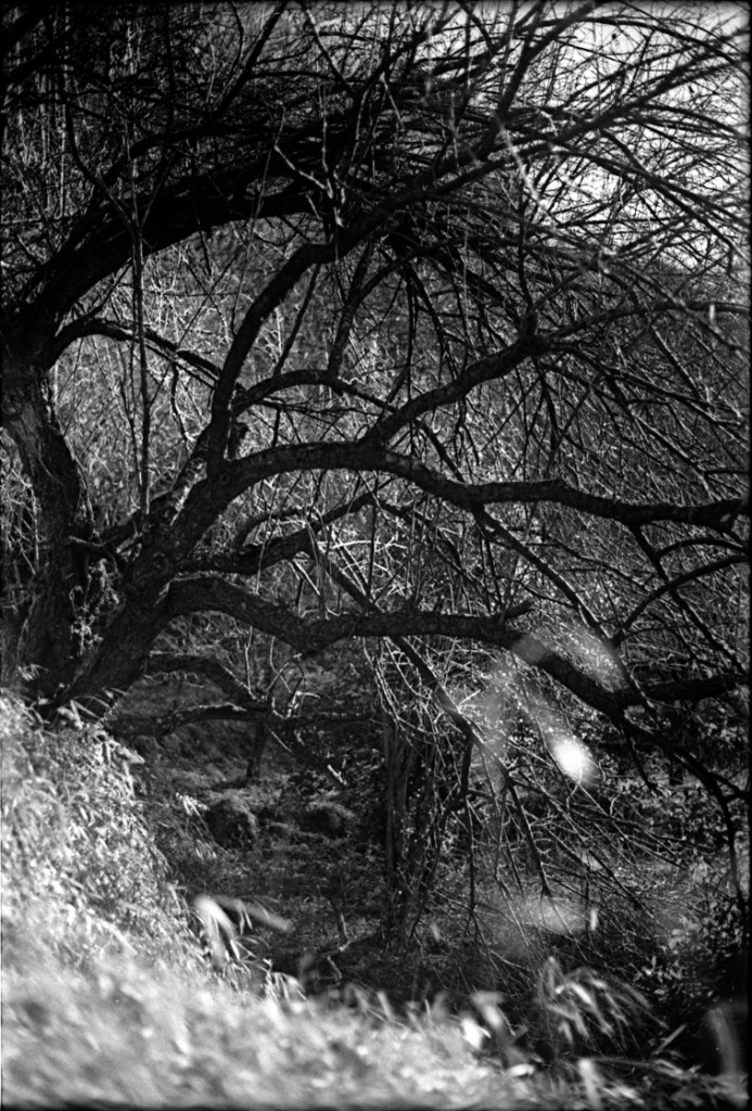 1-150118-Minolta-retro80-058