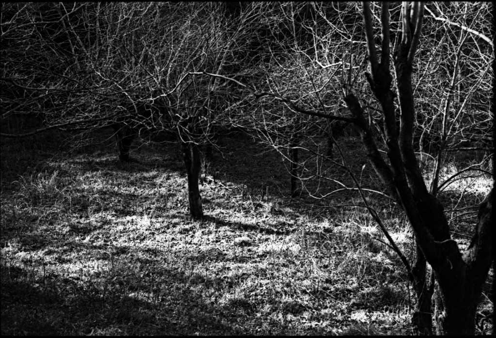 1-150118-Minolta-retro80-061