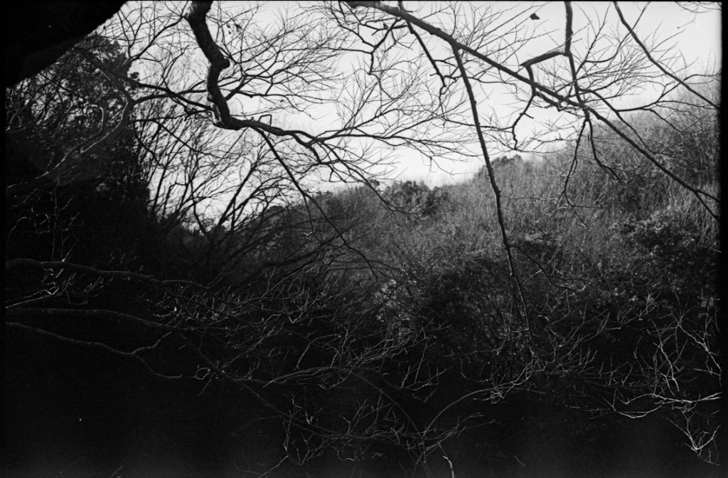 1-150118-Minolta-retro80-065