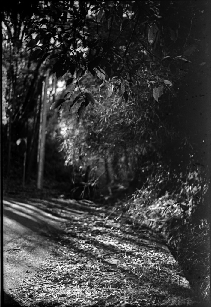 1-150118-Minolta-retro80-069