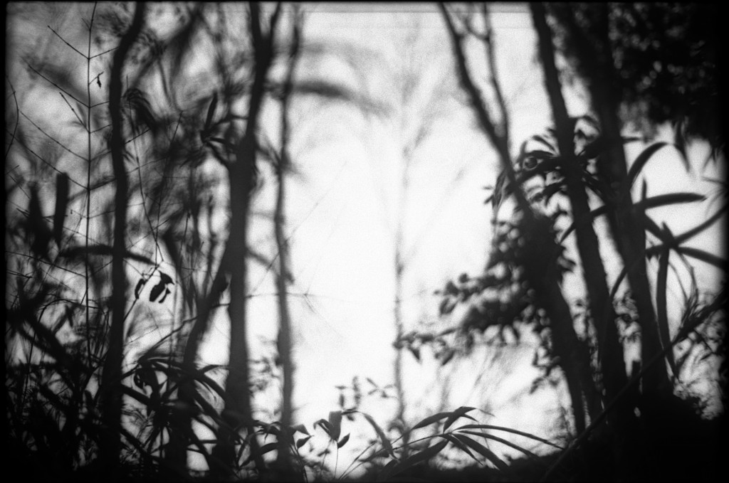 1-150215-Minolta-retro80-002