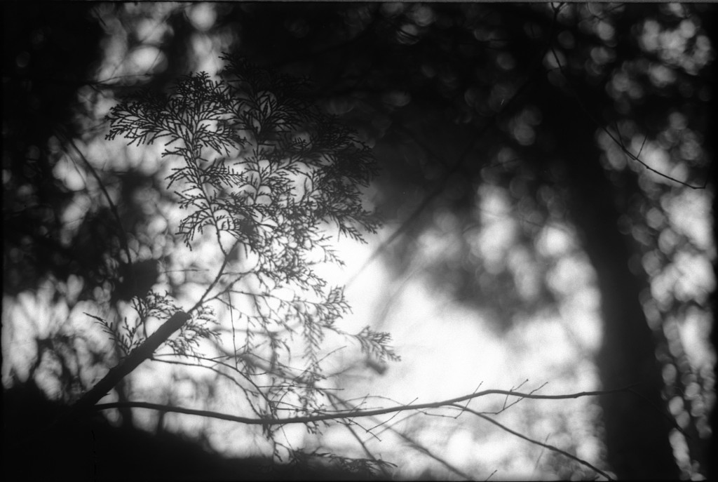 1-150215-Minolta-retro80-004