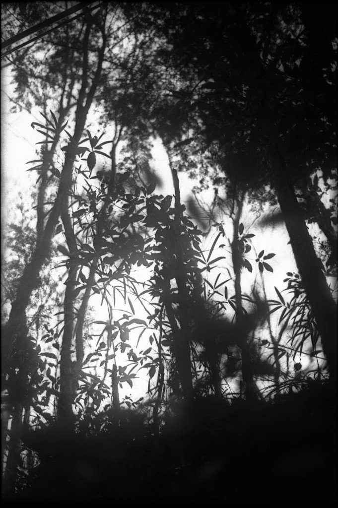 1-150215-Minolta-retro80-006