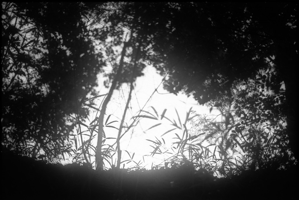 1-150215-Minolta-retro80-007