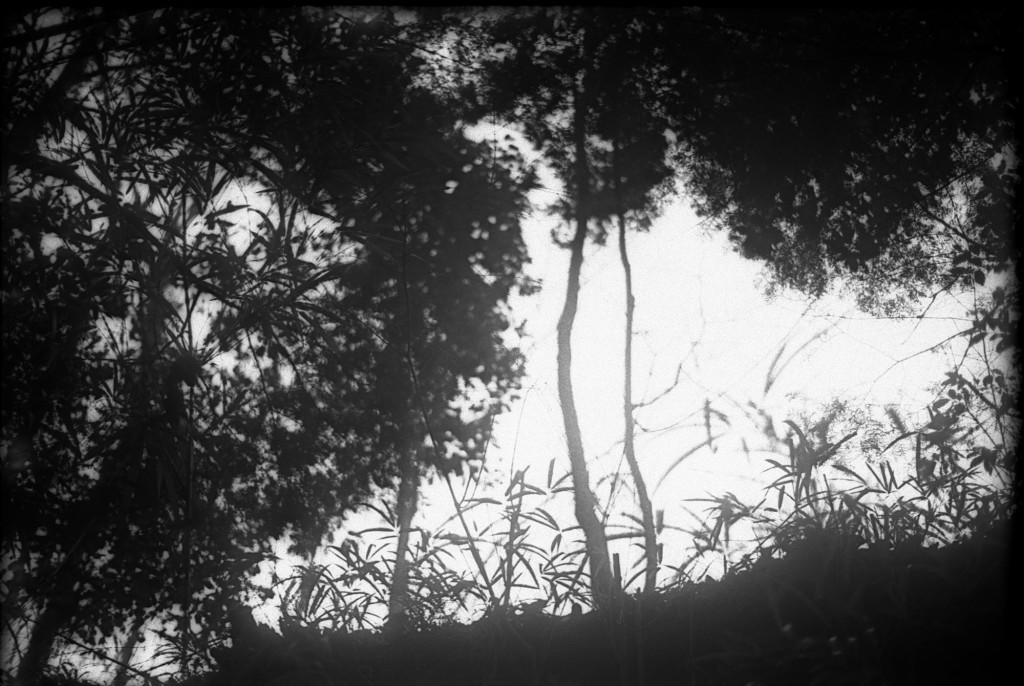 1-150215-Minolta-retro80-008