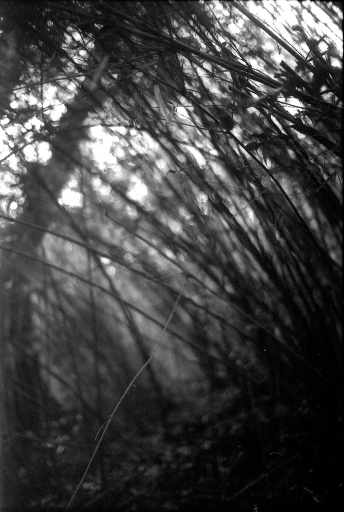 1-150215-Minolta-retro80-012