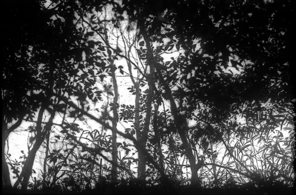 1-150215-Minolta-retro80-014