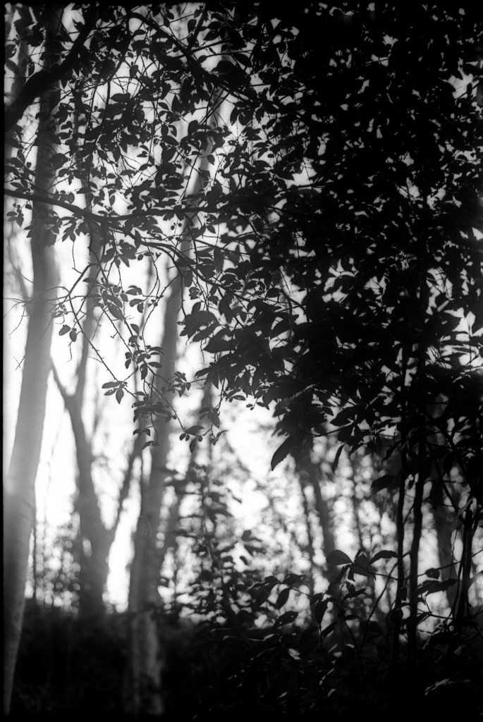 1-150215-Minolta-retro80-016