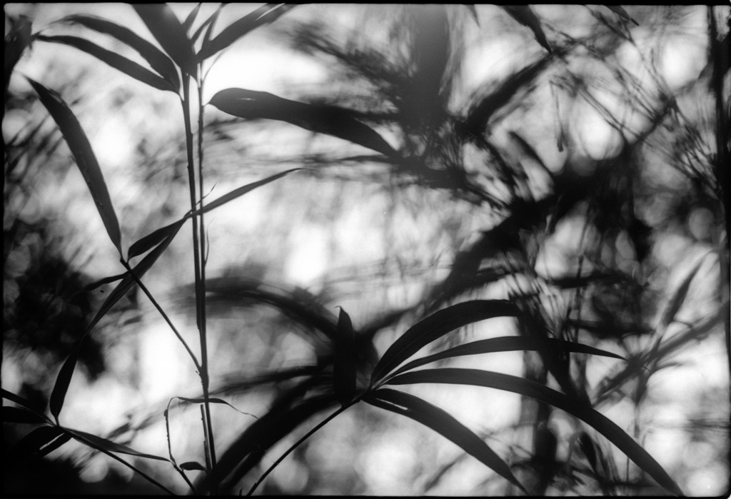 1-150215-Minolta-retro80-019