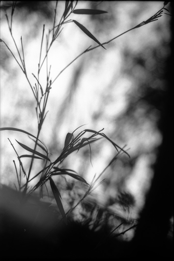 1-150215-Minolta-retro80-020