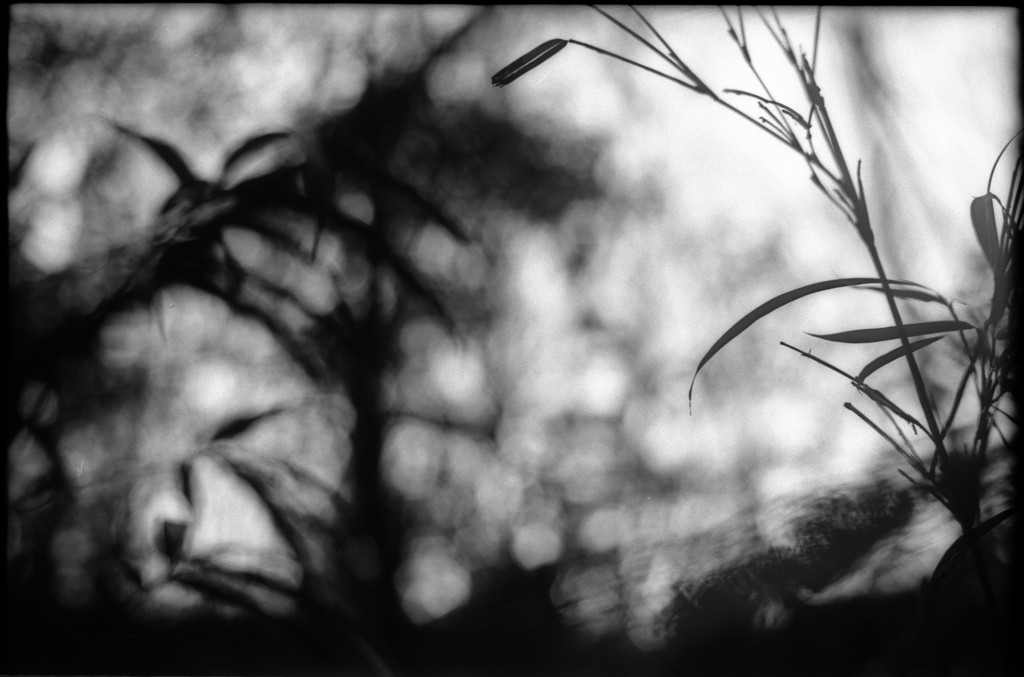 1-150215-Minolta-retro80-021