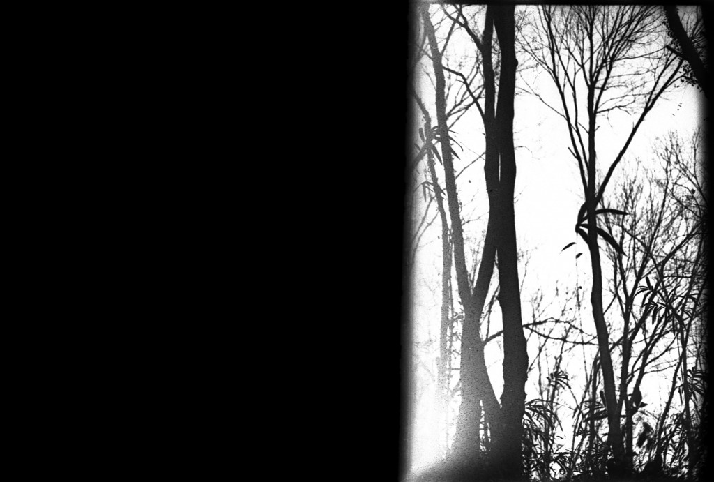 1-150215-Minolta-retro80-025