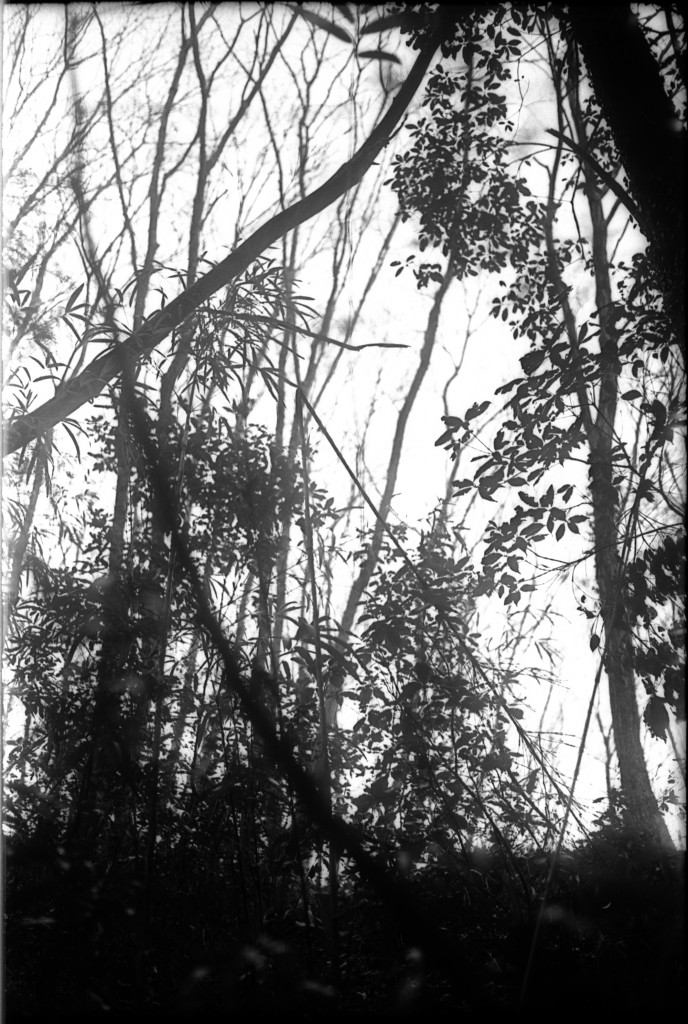 1-150215-Minolta-retro80-033