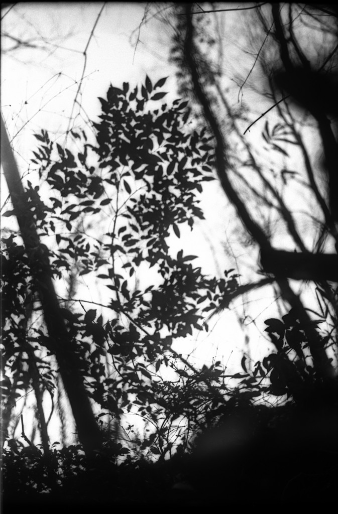 1-150215-Minolta-retro80-035